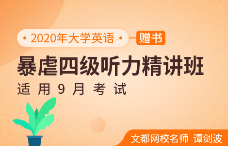 适用9月考试 暴虐四级听力精讲班 赠书 课程名称 文都网校